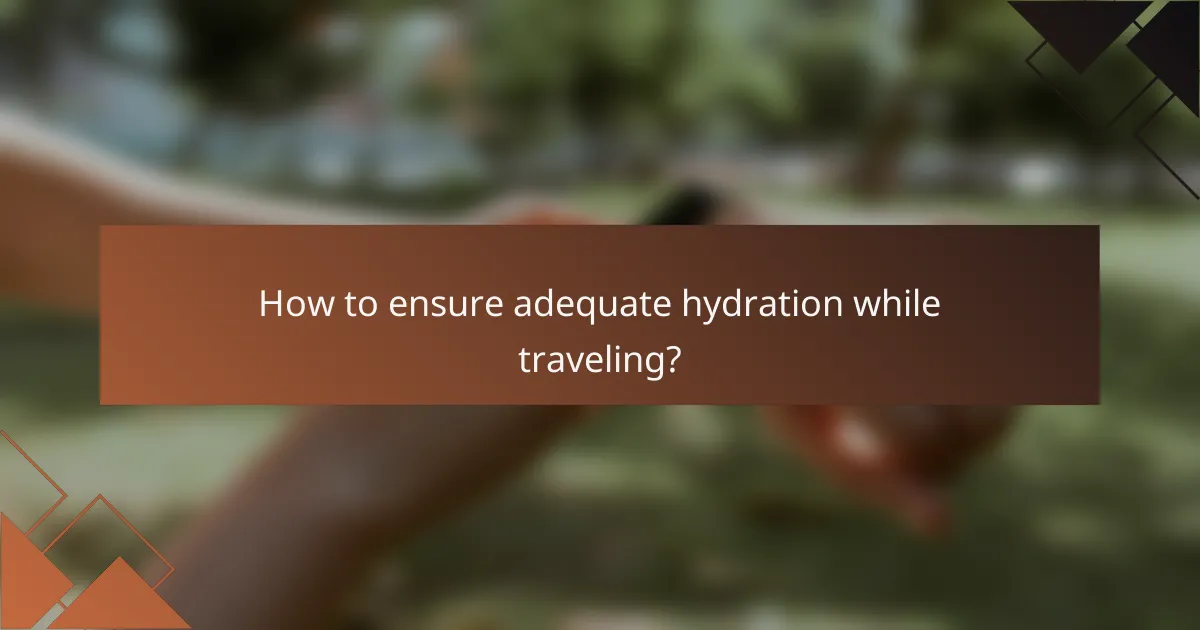 How to ensure adequate hydration while traveling?