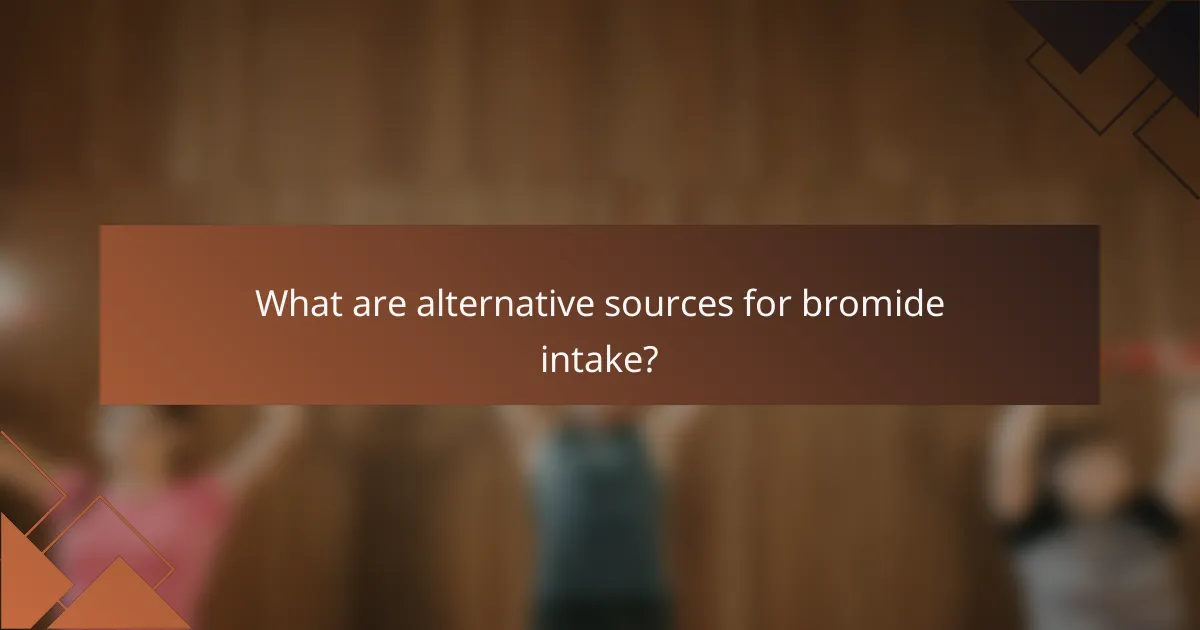 What are alternative sources for bromide intake?