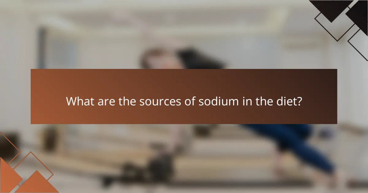 What are the sources of sodium in the diet?
